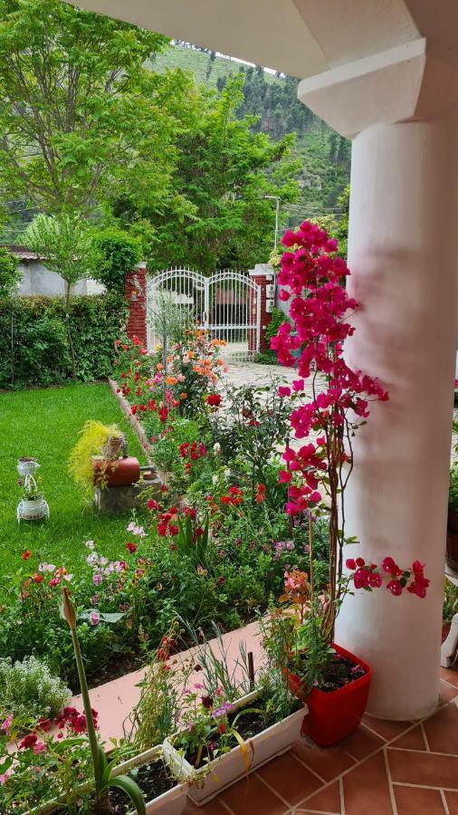 Veranda B&B Berat Esterno foto